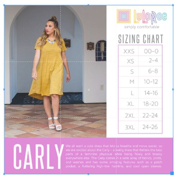 LuLaRoe Carly Swing Dress Women Size 2XL | Purple | Floral Rose 2X XXL 22 24 - Picture 9 of 9